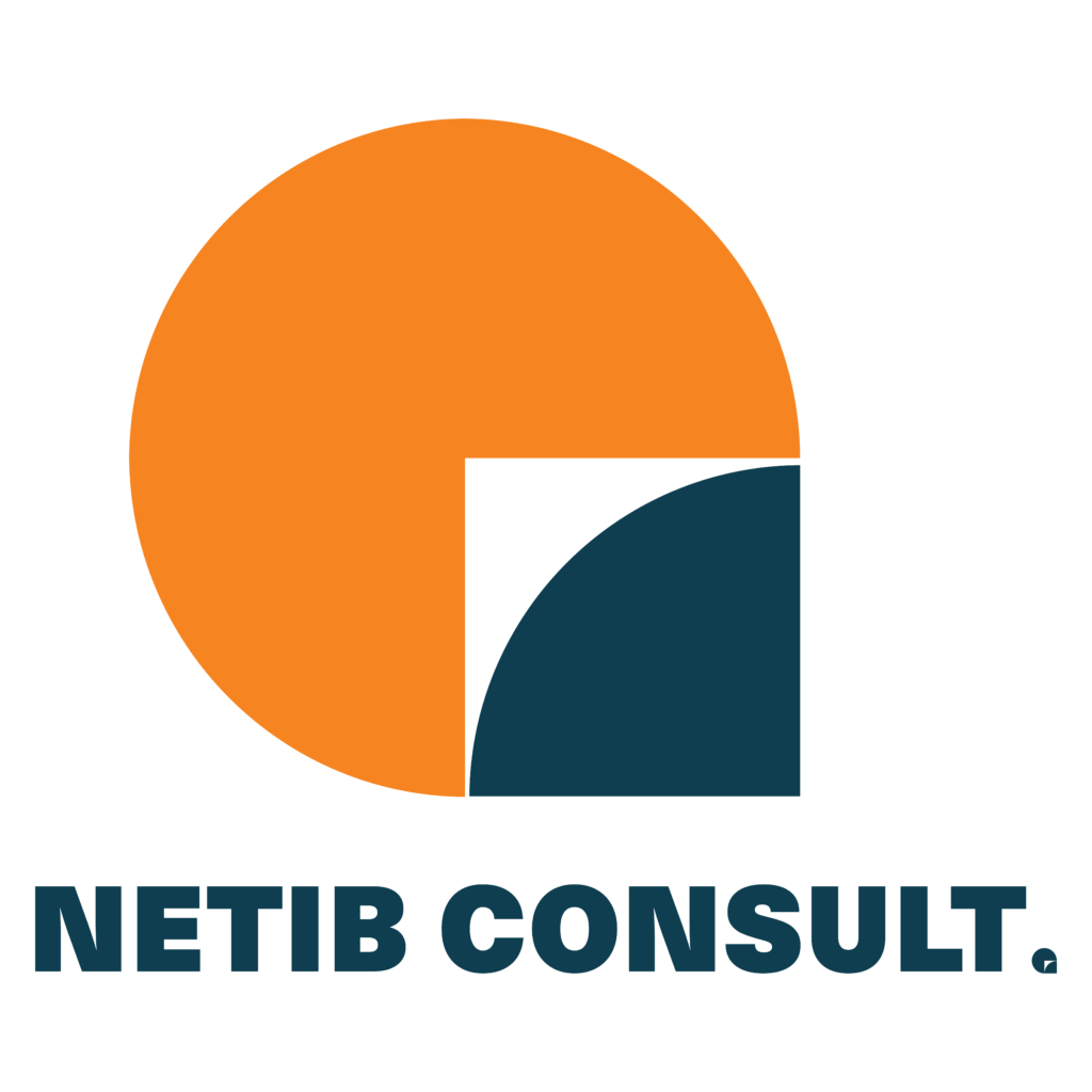 Netib Logo